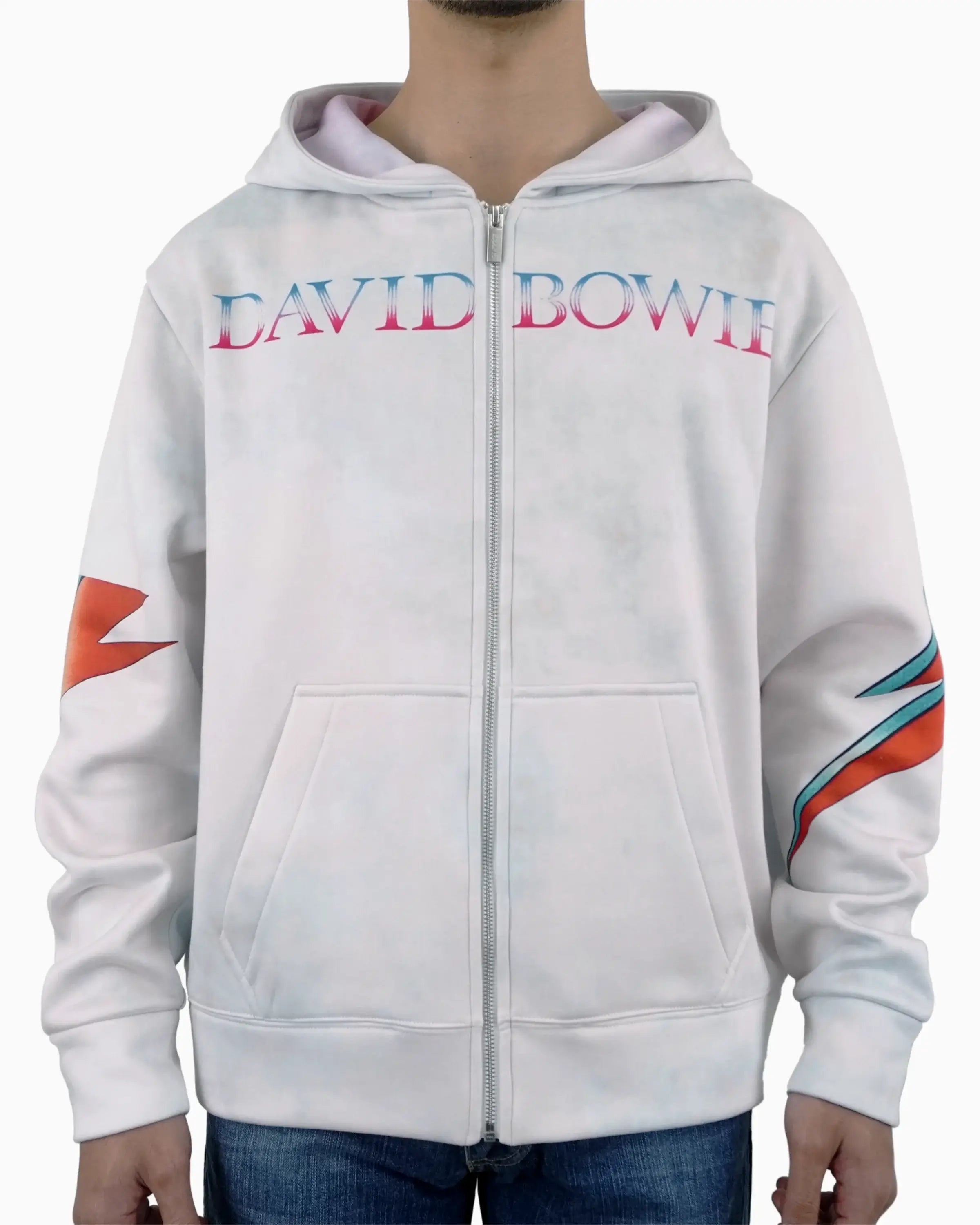 Aladdin Sane Zip