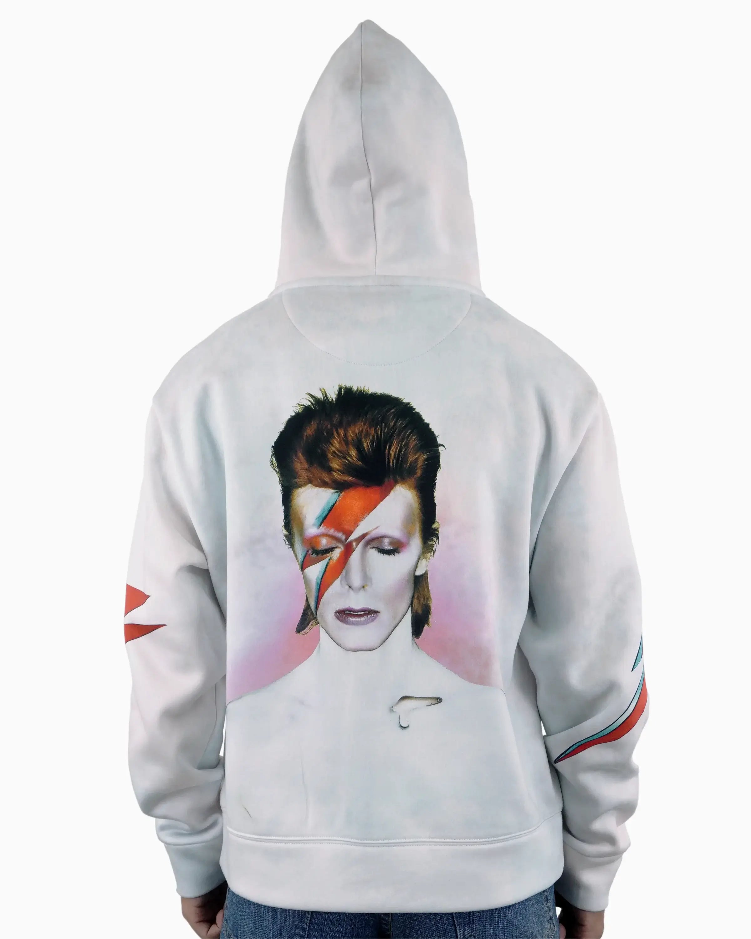 Aladdin Sane Zip