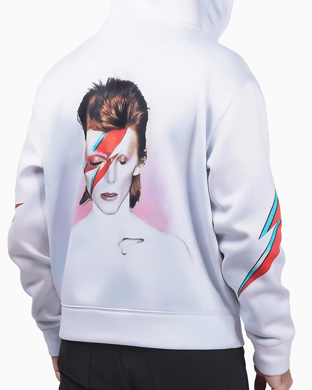 Aladdin Sane - 23point5 Shop
