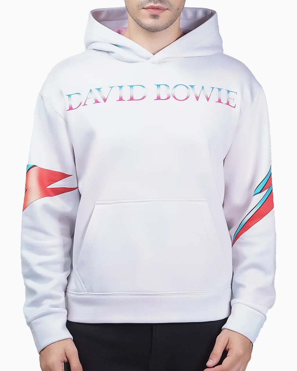 Aladdin Sane - 23point5 Shop