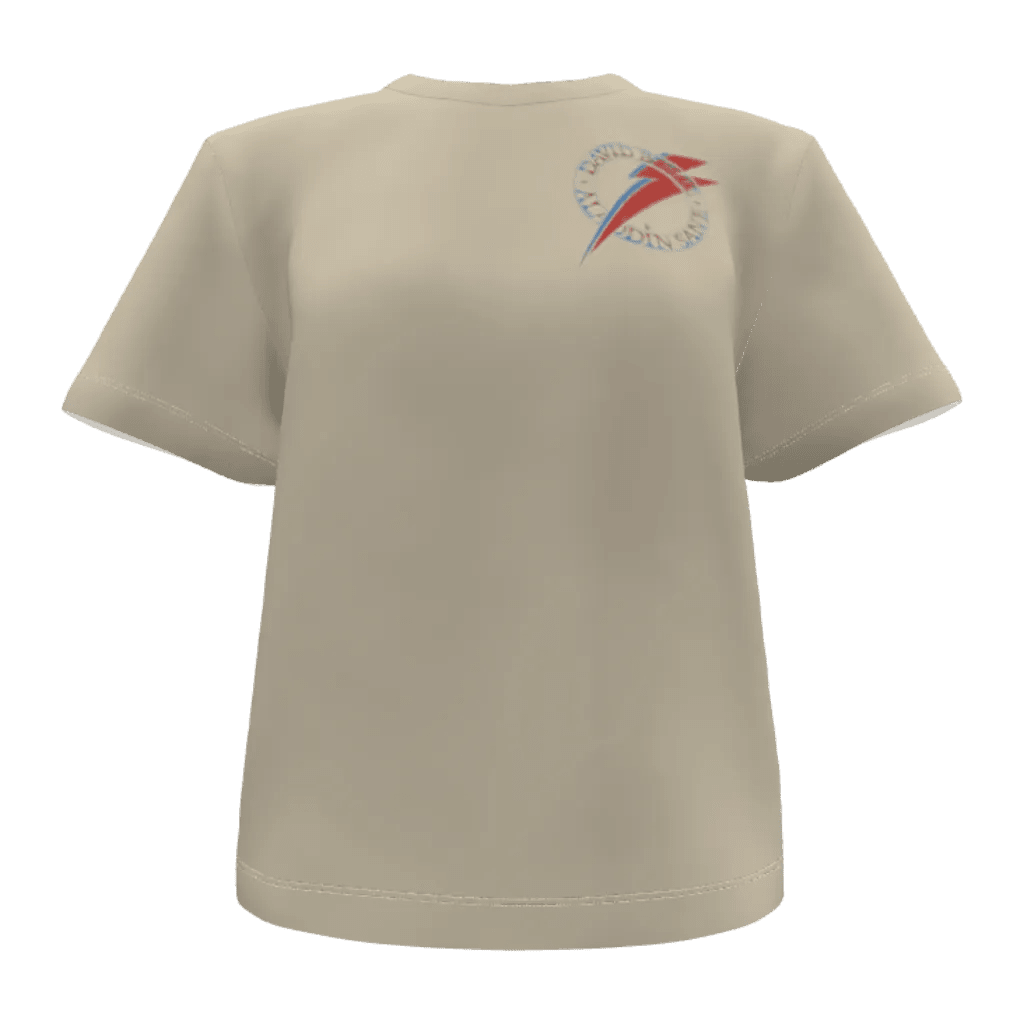 Aladdin Sane - 23point5 Shop