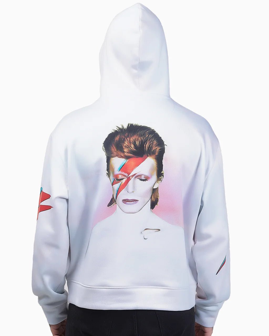 Aladdin Sane - 23point5 Shop