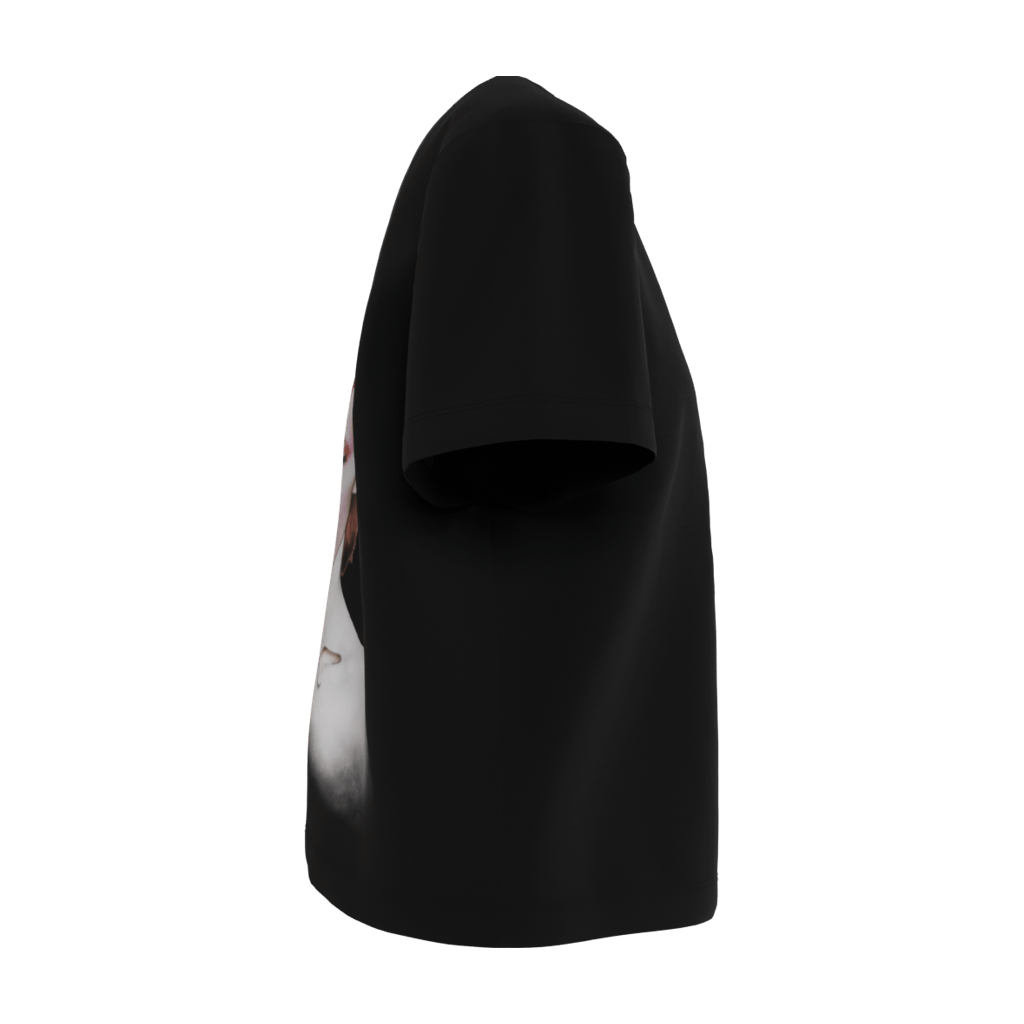 Aladdin Sane Black Women's Tee - 23point5 Shop