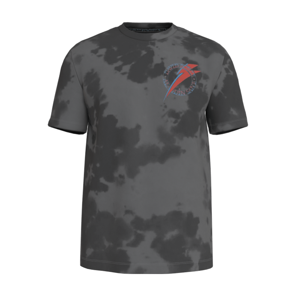 Aladdin Sane Gray T-Shirt - 23point5 Shop