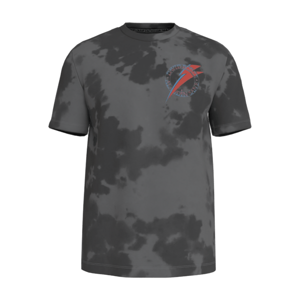 Aladdin Sane Gray T-Shirt - 23point5 Shop