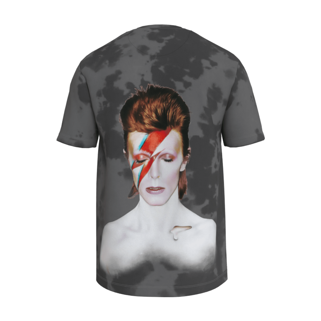 Aladdin Sane Gray T-Shirt - 23point5 Shop
