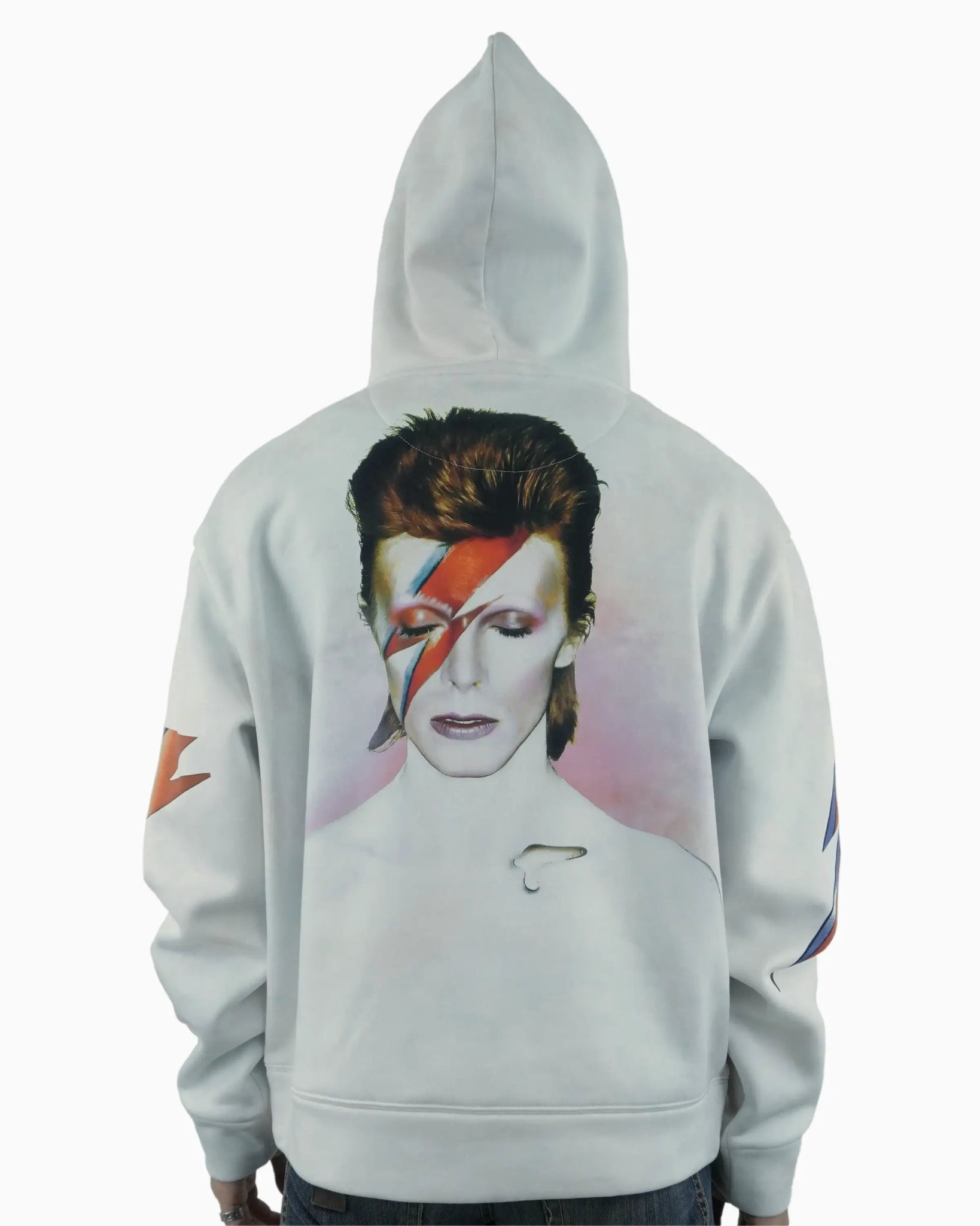 Aladdin Sane Hoodie - 23point5 Shop
