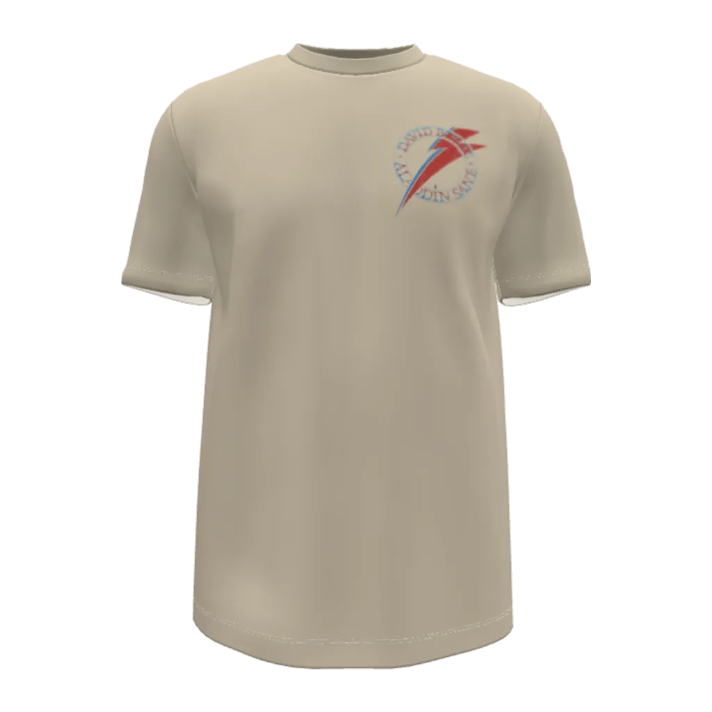 Aladdin Sane T-Shirt - 23point5 Shop