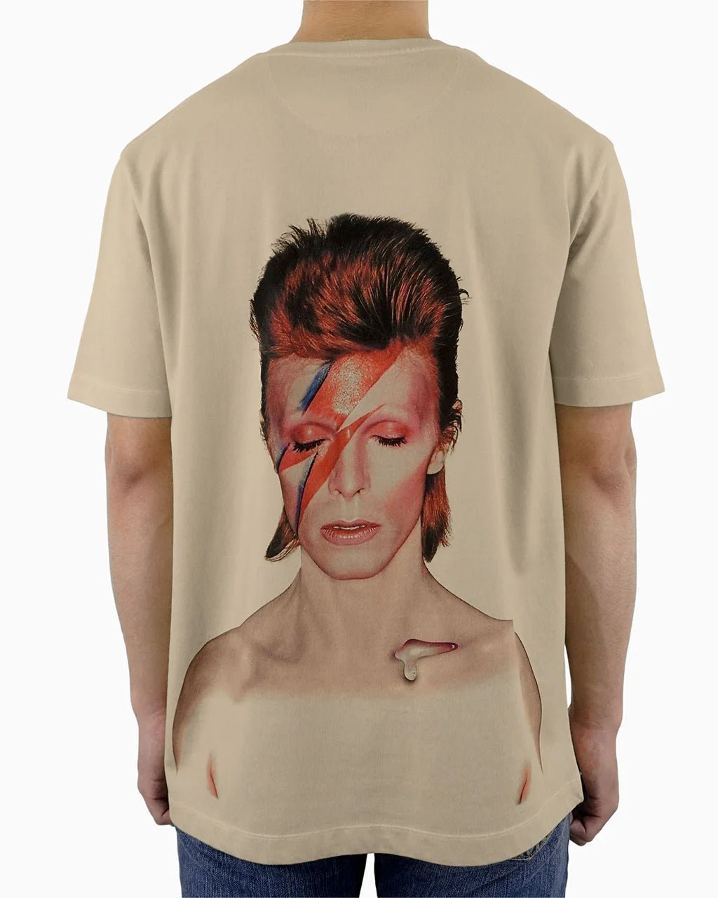 Aladdin Sane T-Shirt - 23point5 Shop