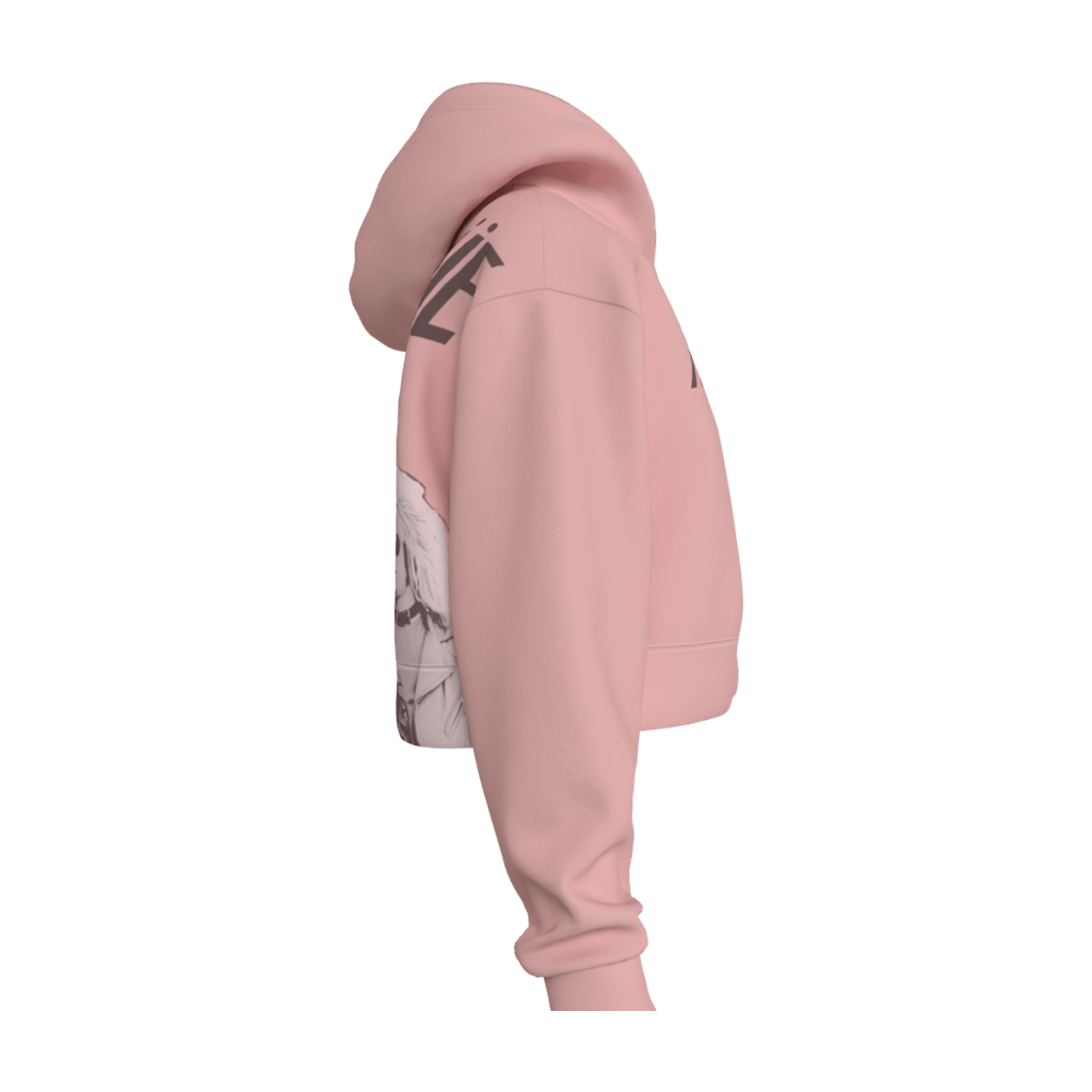 Motley Crue Crop Hoodie - 23point5 Shop