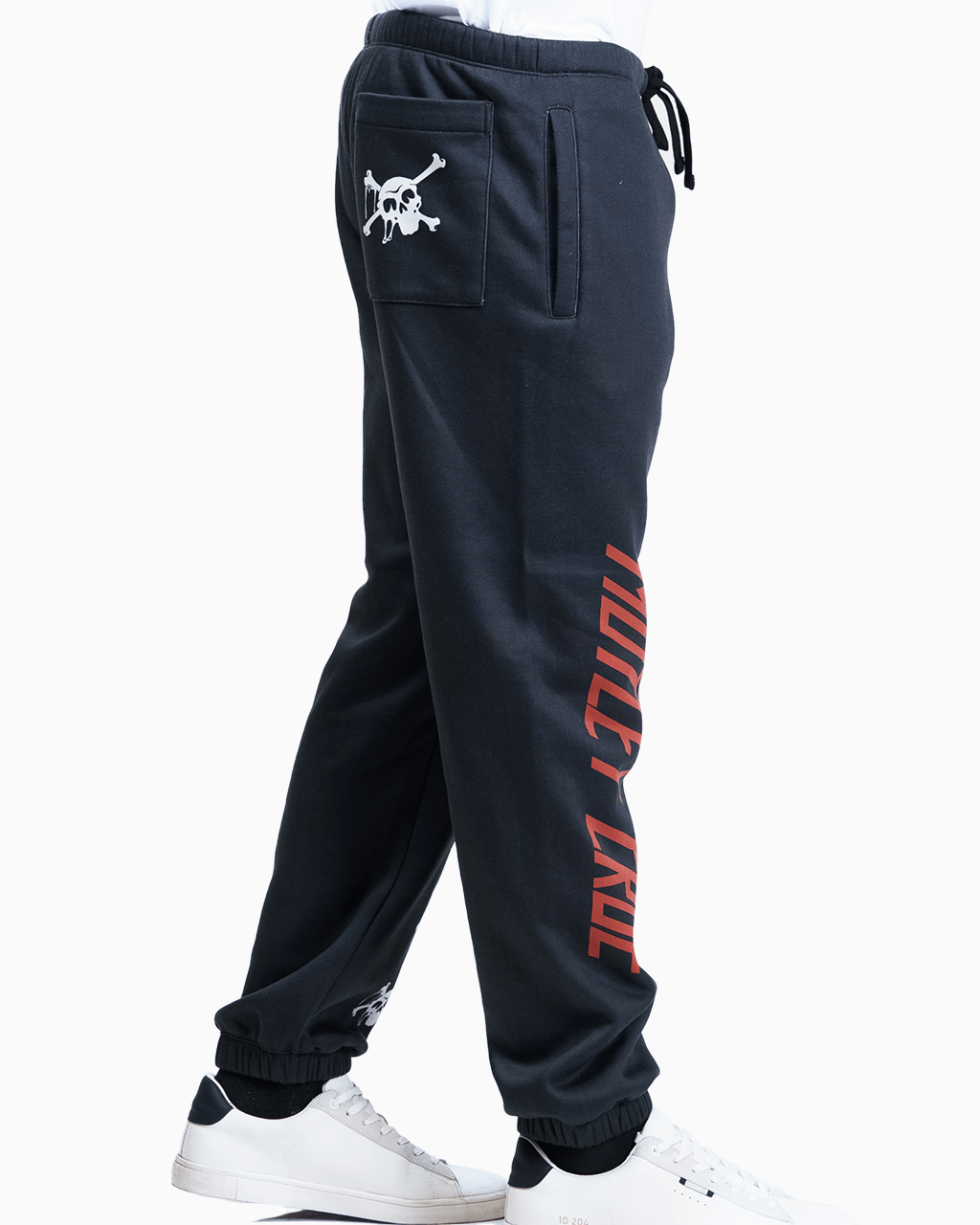 Skull - 23point5 Shop