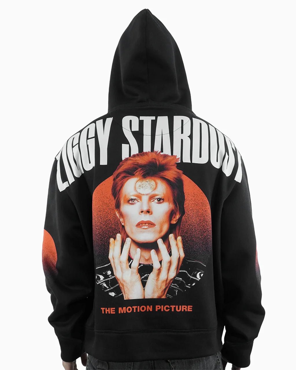 Ziggy Stardust Zip - 23point5 Shop