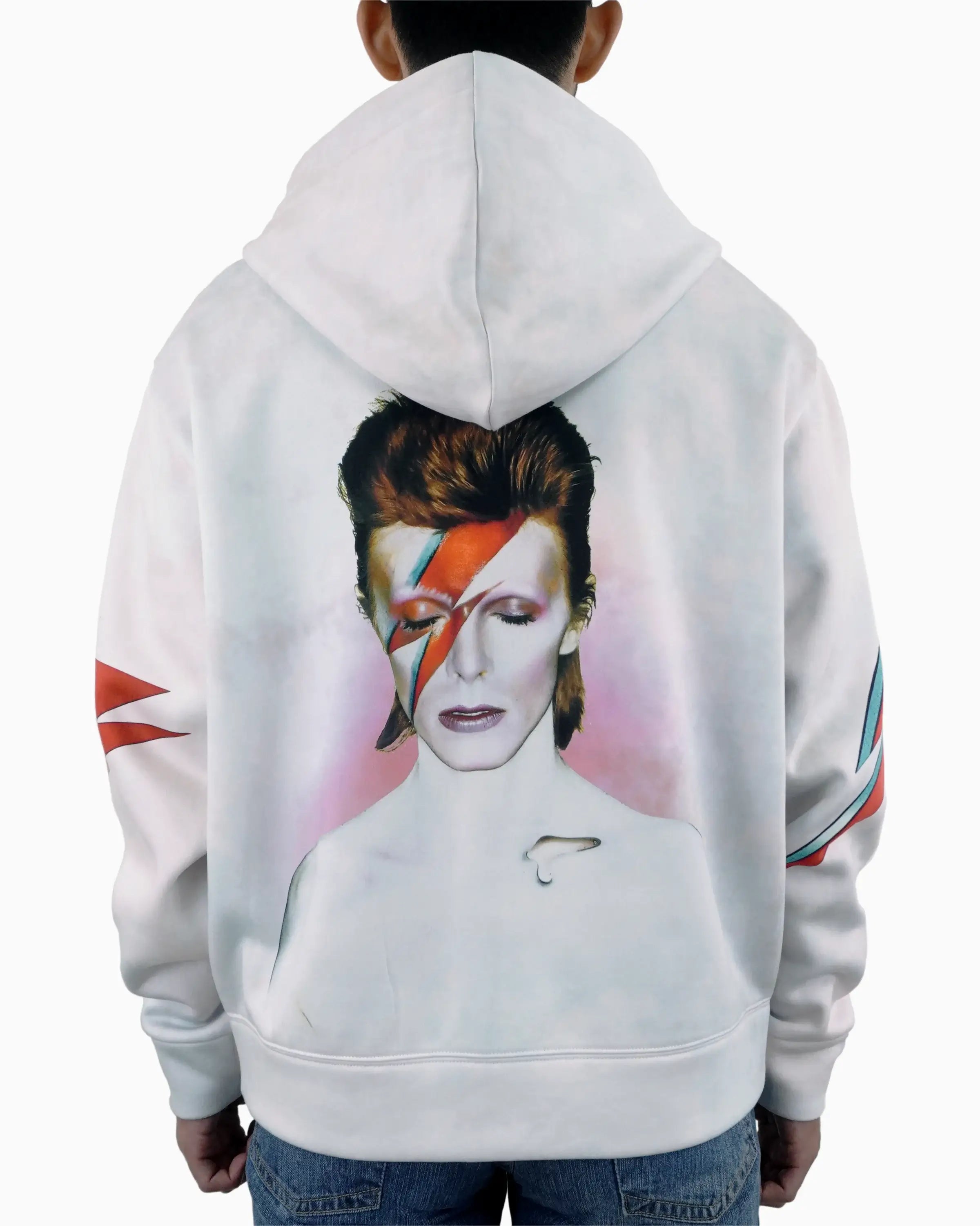 Aladdin Sane Zip