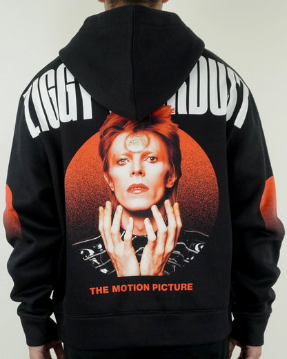 Ziggy Stardust Zip