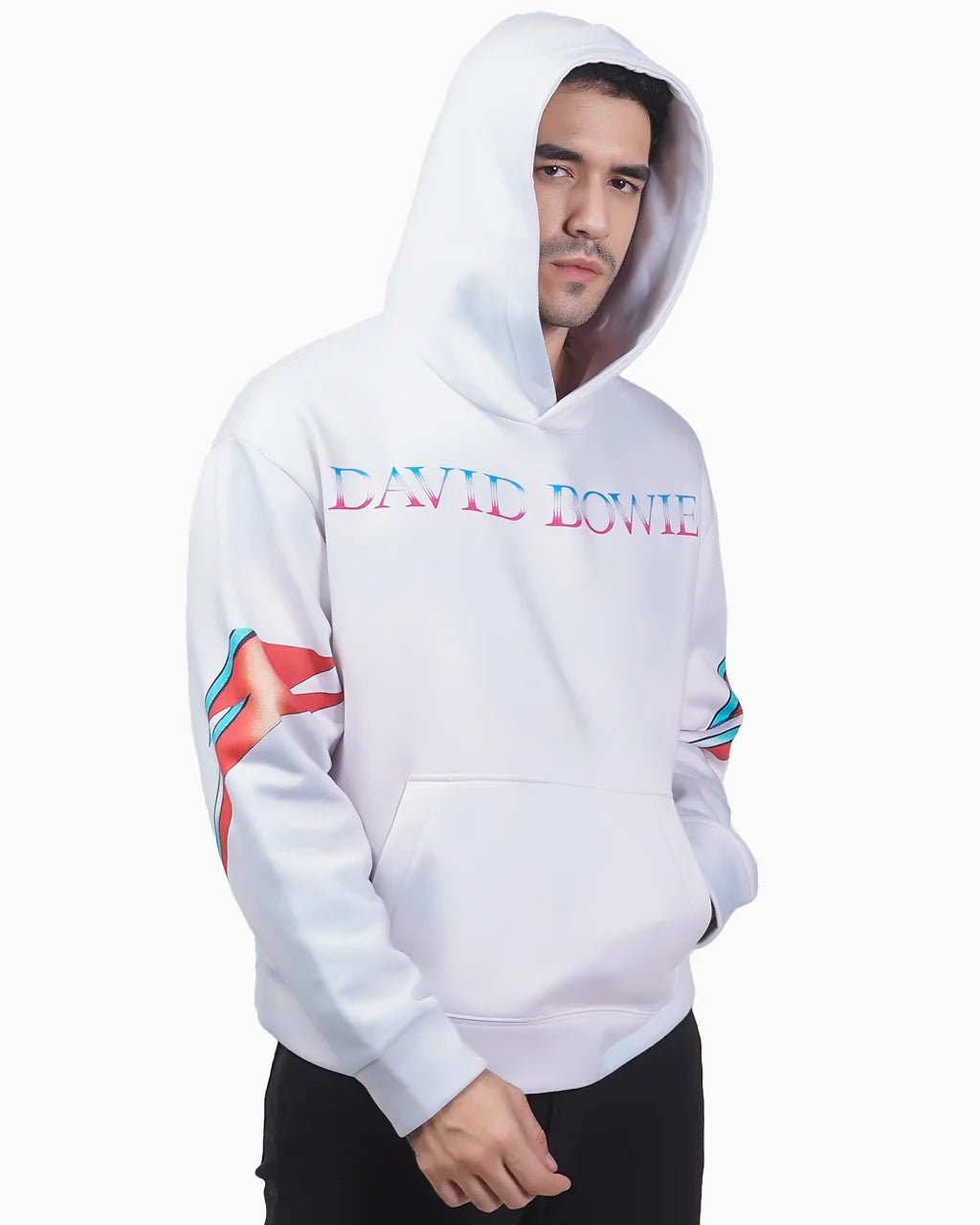 Aladdin Sane - 23point5 Shop