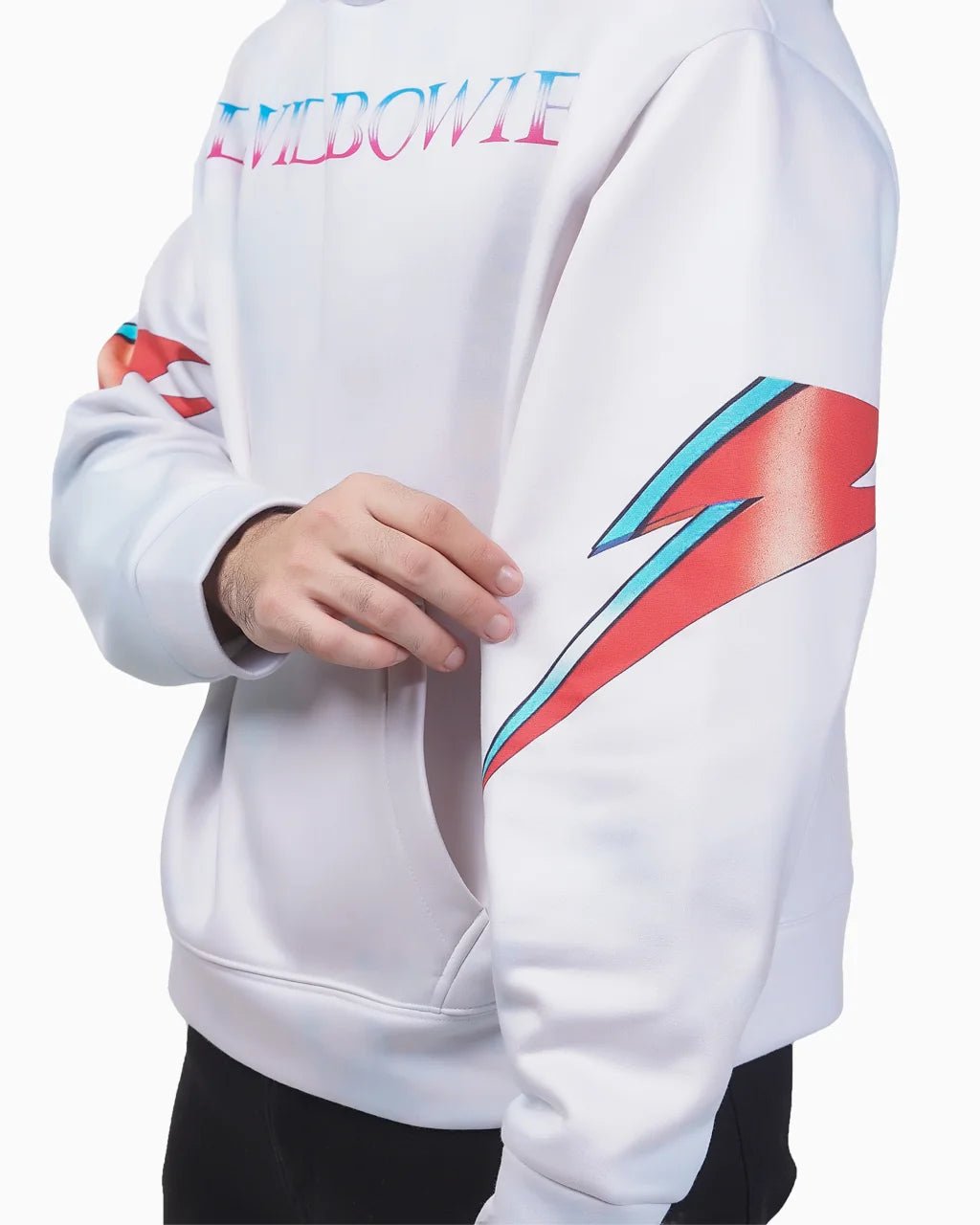 Aladdin Sane - 23point5 Shop