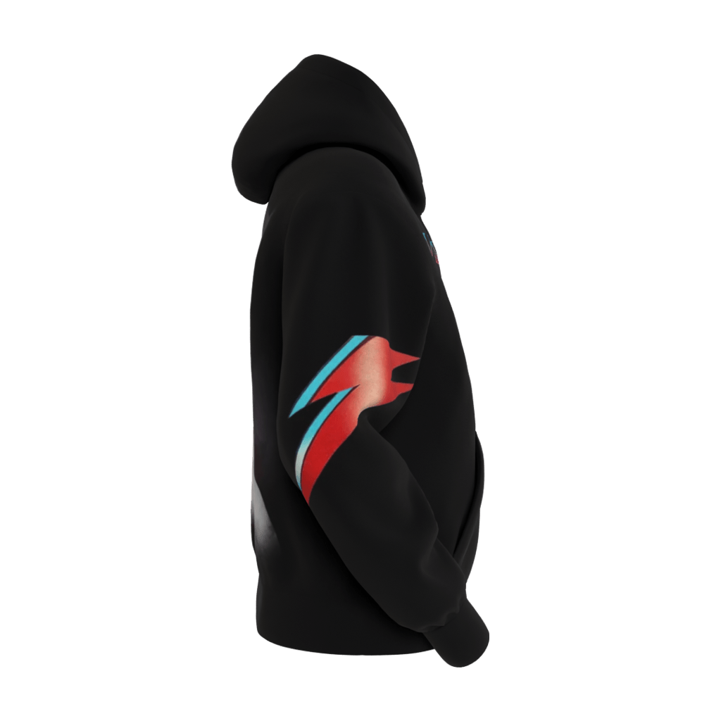 Aladdin Sane Black Hoodie - 23point5 Shop