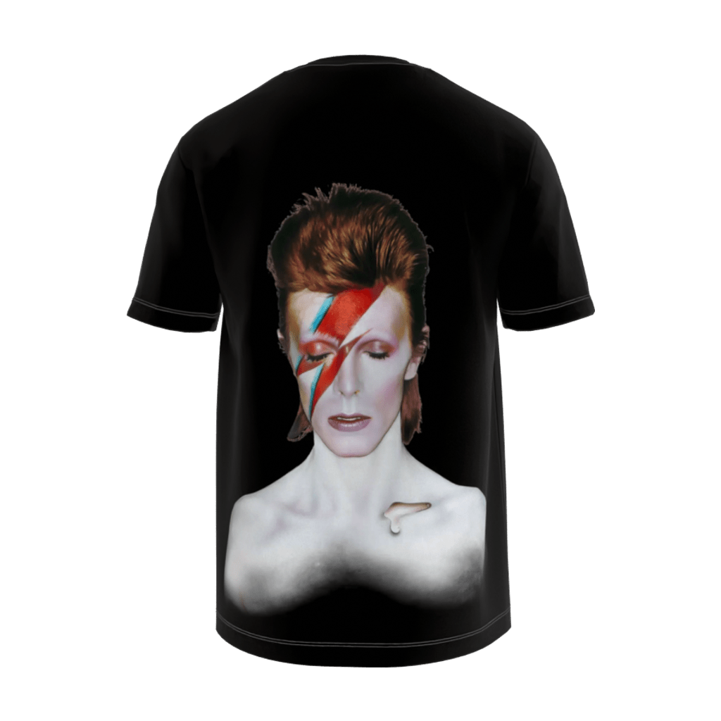 Aladdin Sane Black T-Shirt - 23point5 Shop