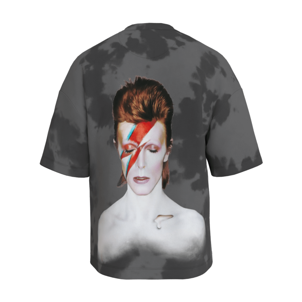Aladdin Sane Gray Oversized Tee - 23point5 Shop