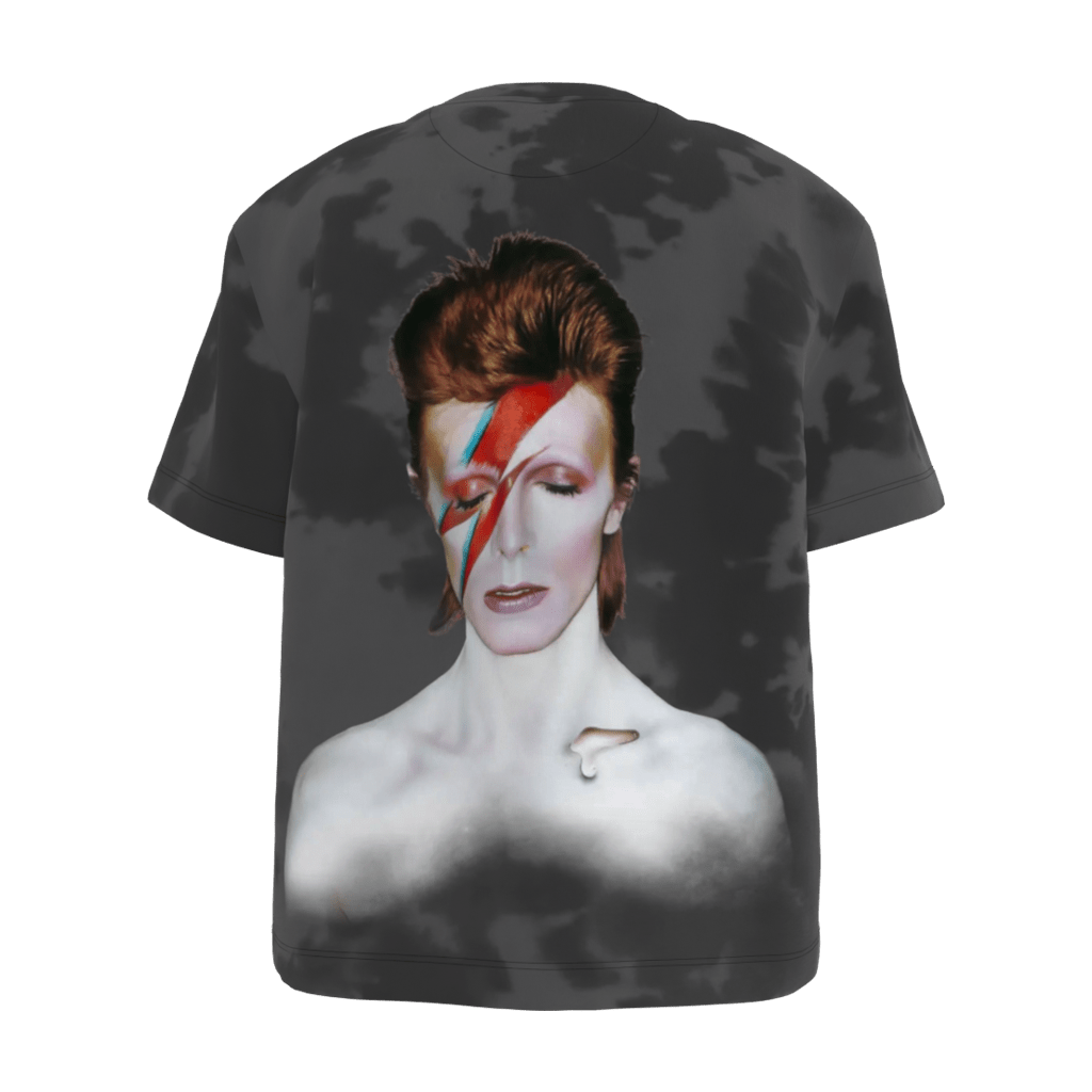 Aladdin Sane Gray Women's Tee - 23point5 Shop