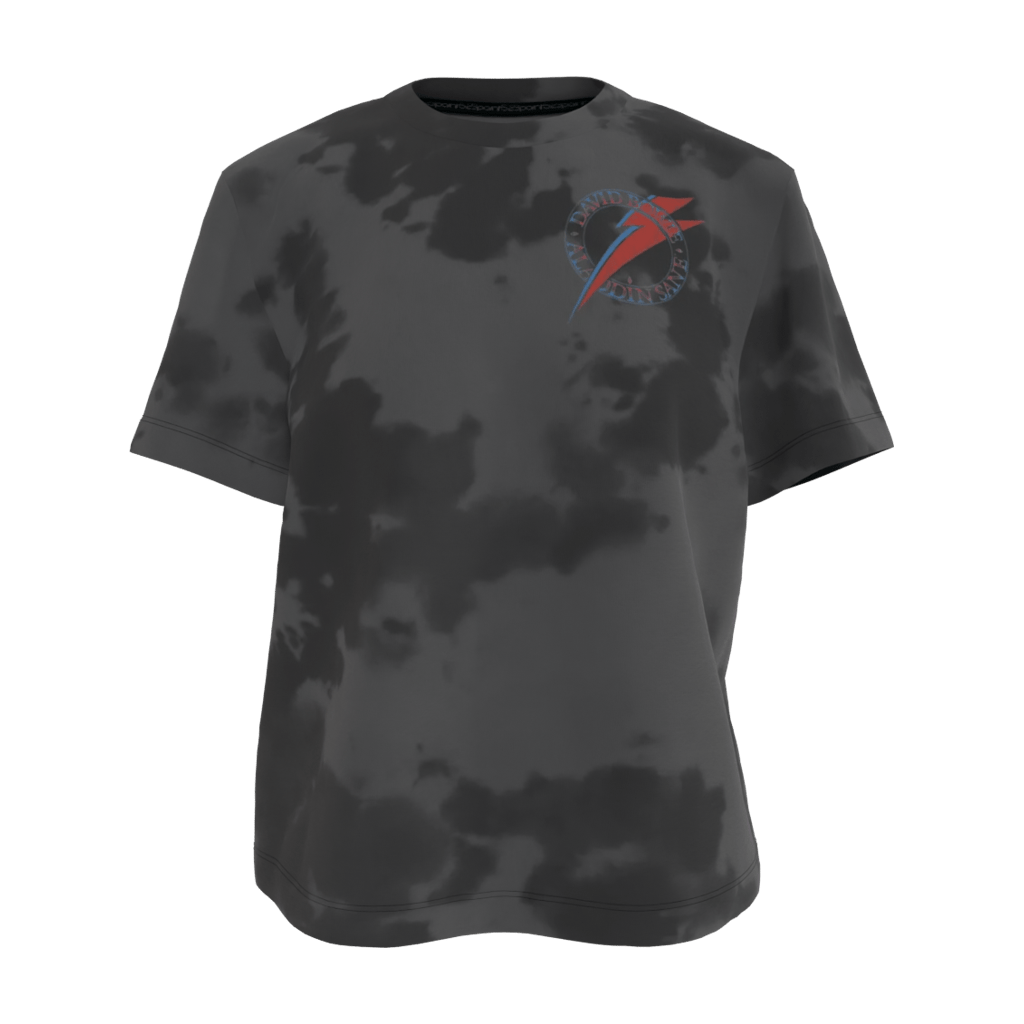 Aladdin Sane Gray Women's Tee - 23point5 Shop