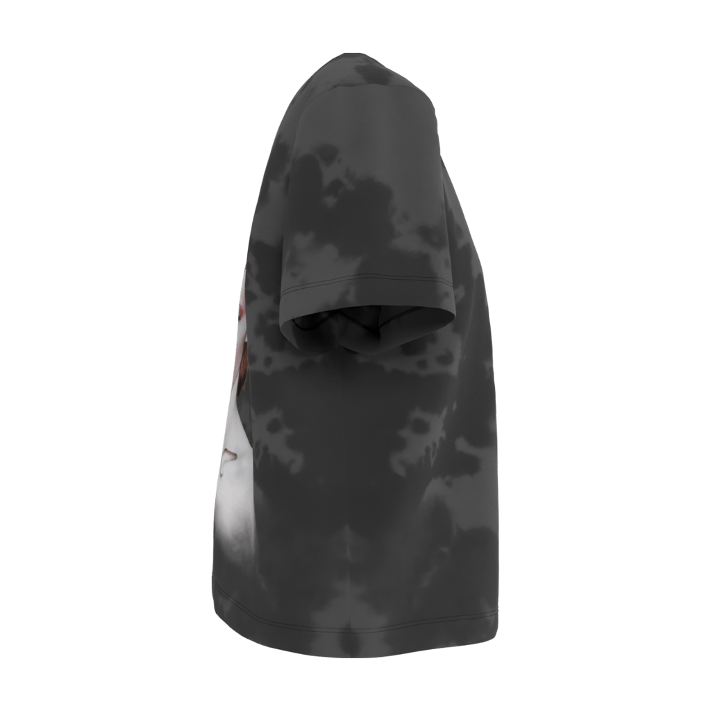 Aladdin Sane Gray Women's Tee - 23point5 Shop