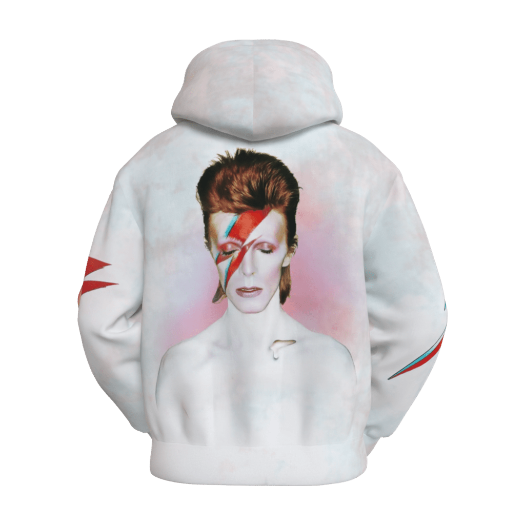 Aladdin Sane Hoodie - 23point5 Shop