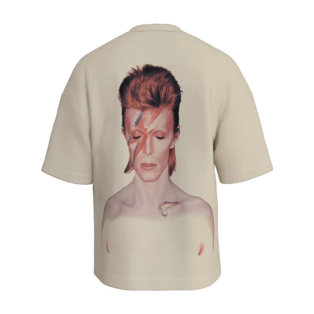 Aladdin Sane Oversized T-Shirt - 23point5 Shop