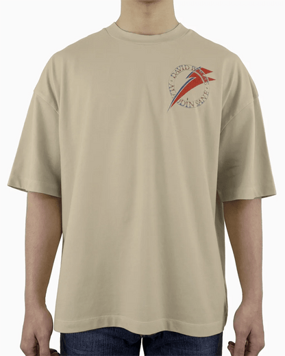 Aladdin Sane Oversized Tee - 23point5 Shop