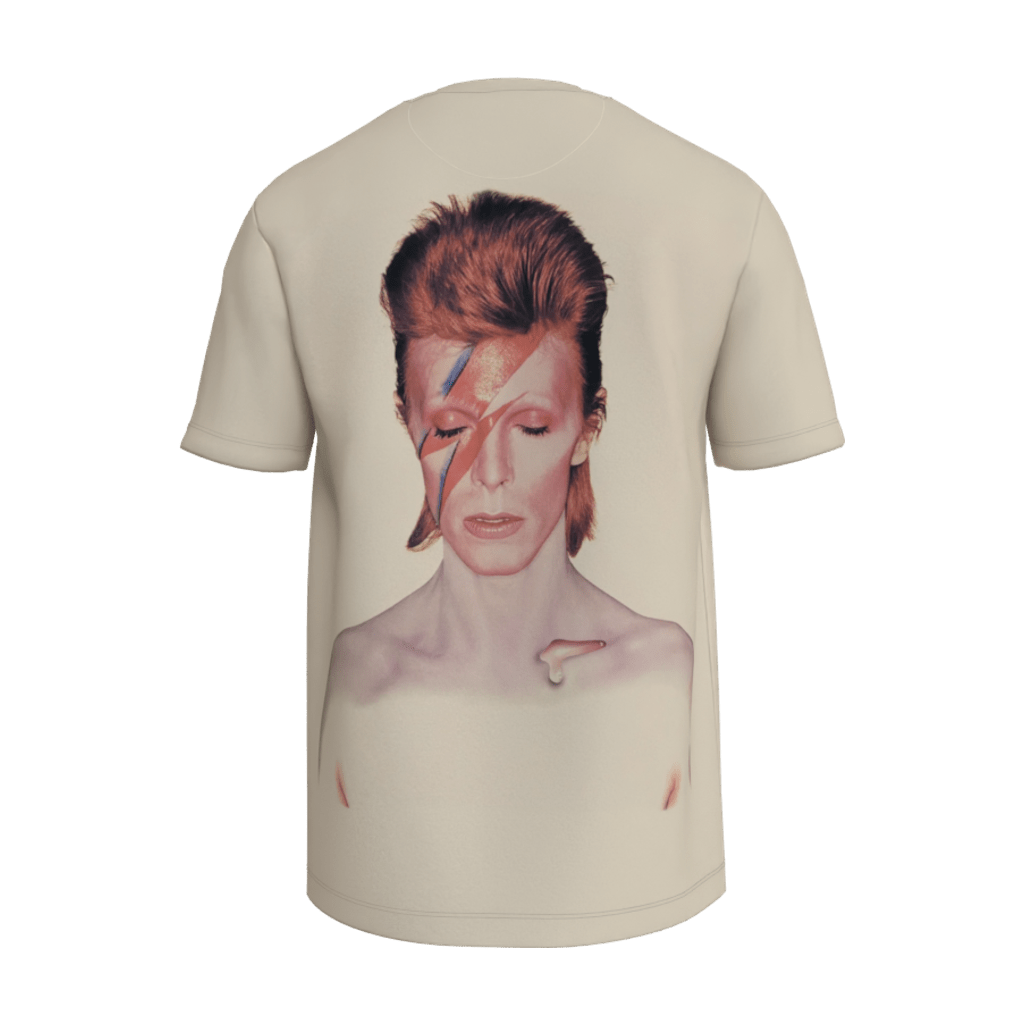 Aladdin Sane T-Shirt - 23point5 Shop