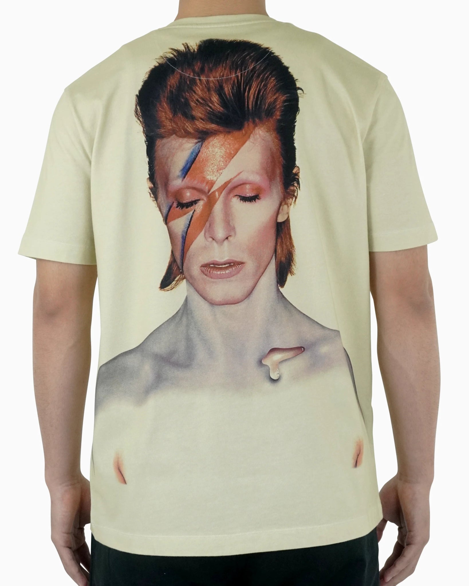 Aladdin Sane T-Shirt - 23point5 Shop