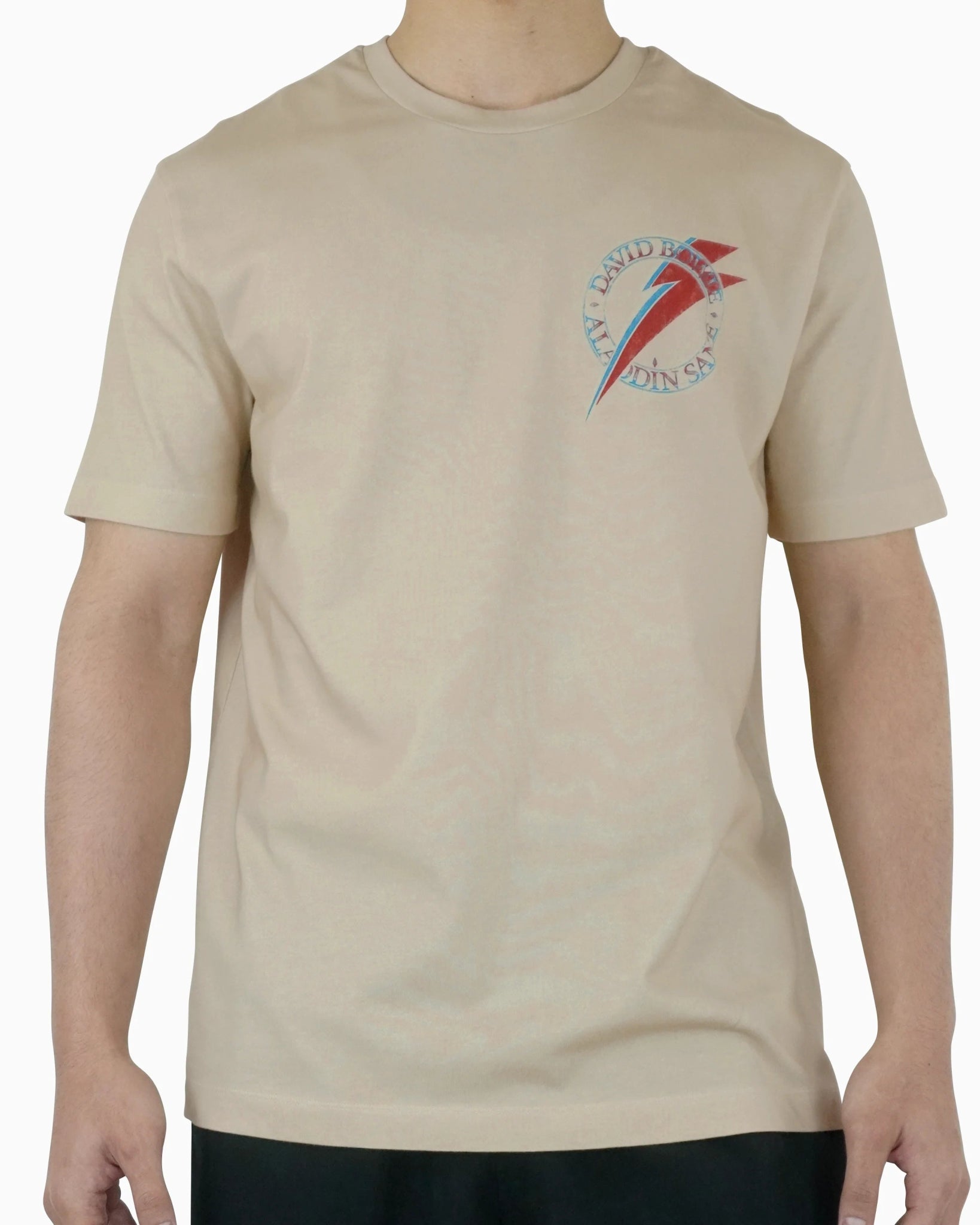 Aladdin Sane T-Shirt - 23point5 Shop