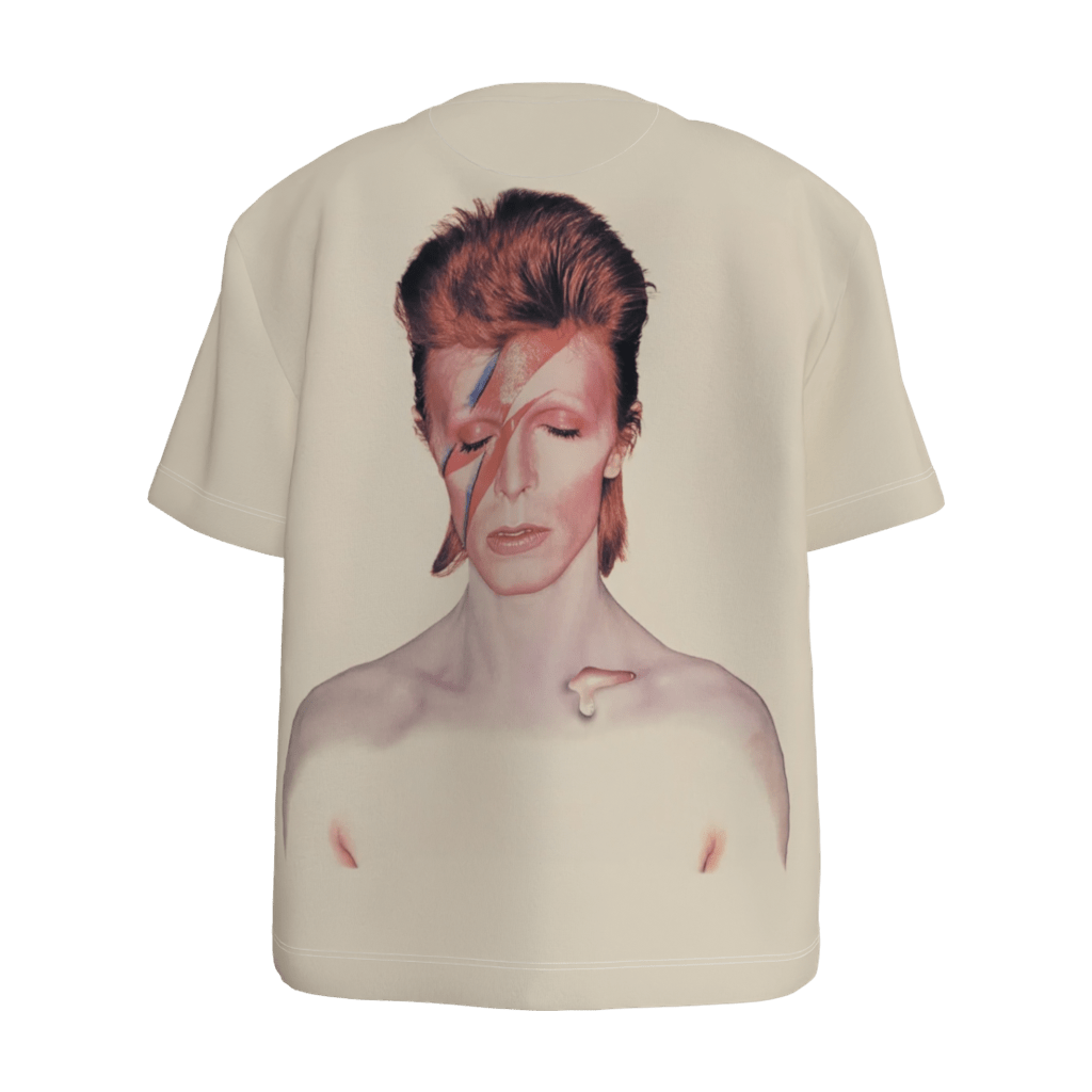 Aladdin Sane Women's Tee - 23point5 Shop