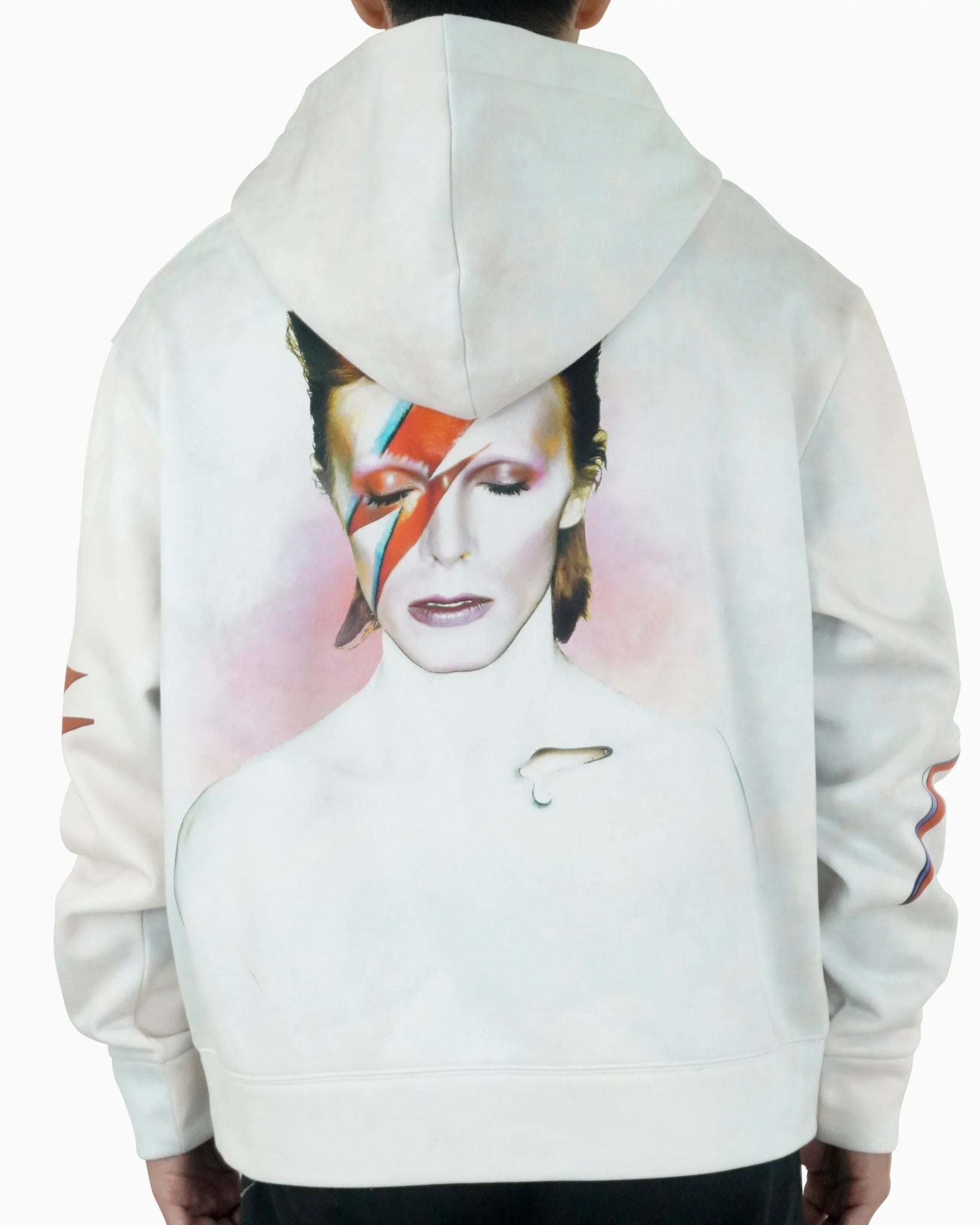 Aladdin Sane Zip - 23point5 Shop