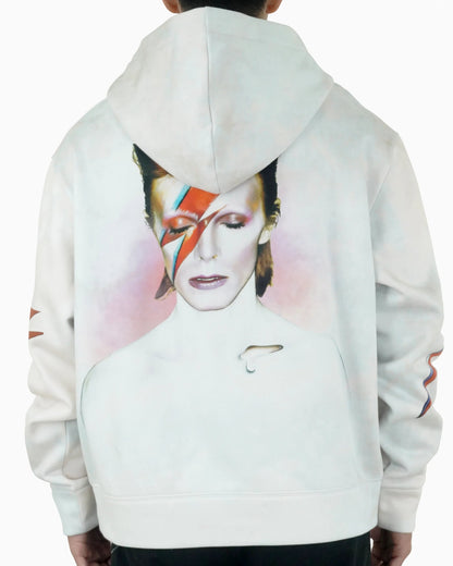 Aladdin Sane Zip - 23point5 Shop