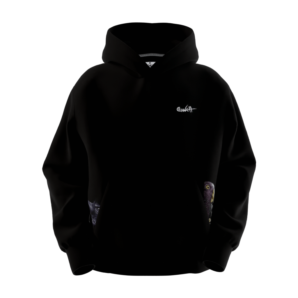 Clowns VS Birds Hoodie - 23point5 Shop