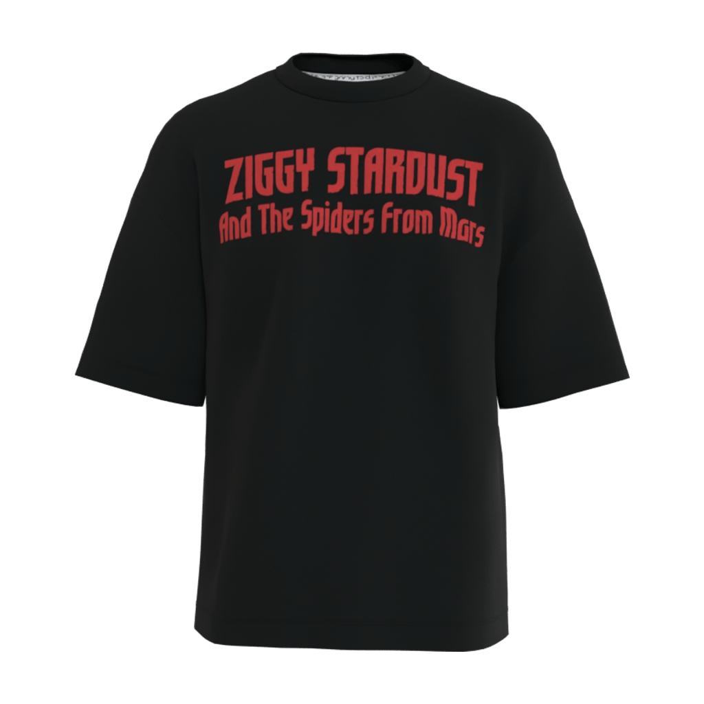 David Bowie Window Oversized T-Shirt - 23point5 Shop