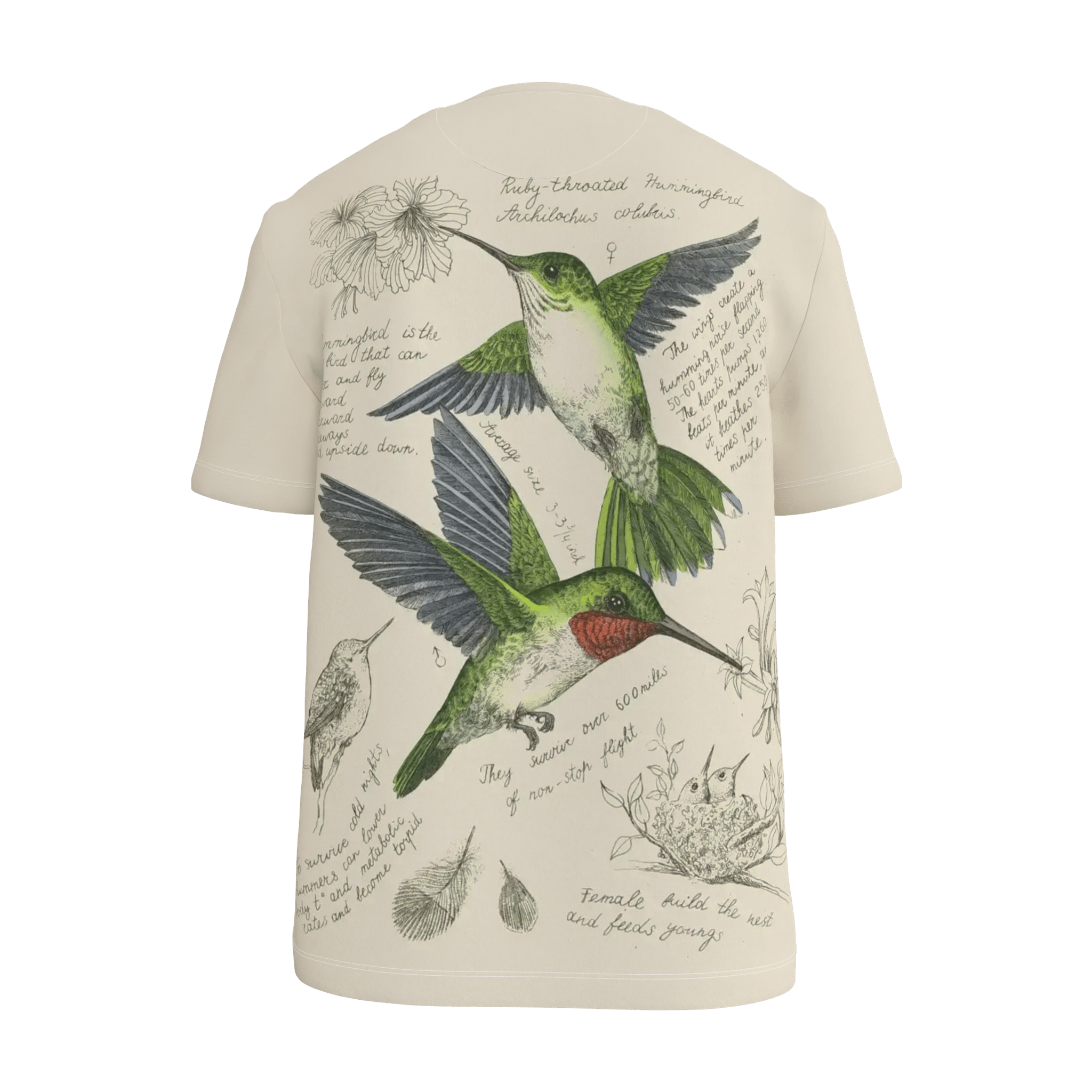 Humming Bird T-Shirt - 23point5 Shop