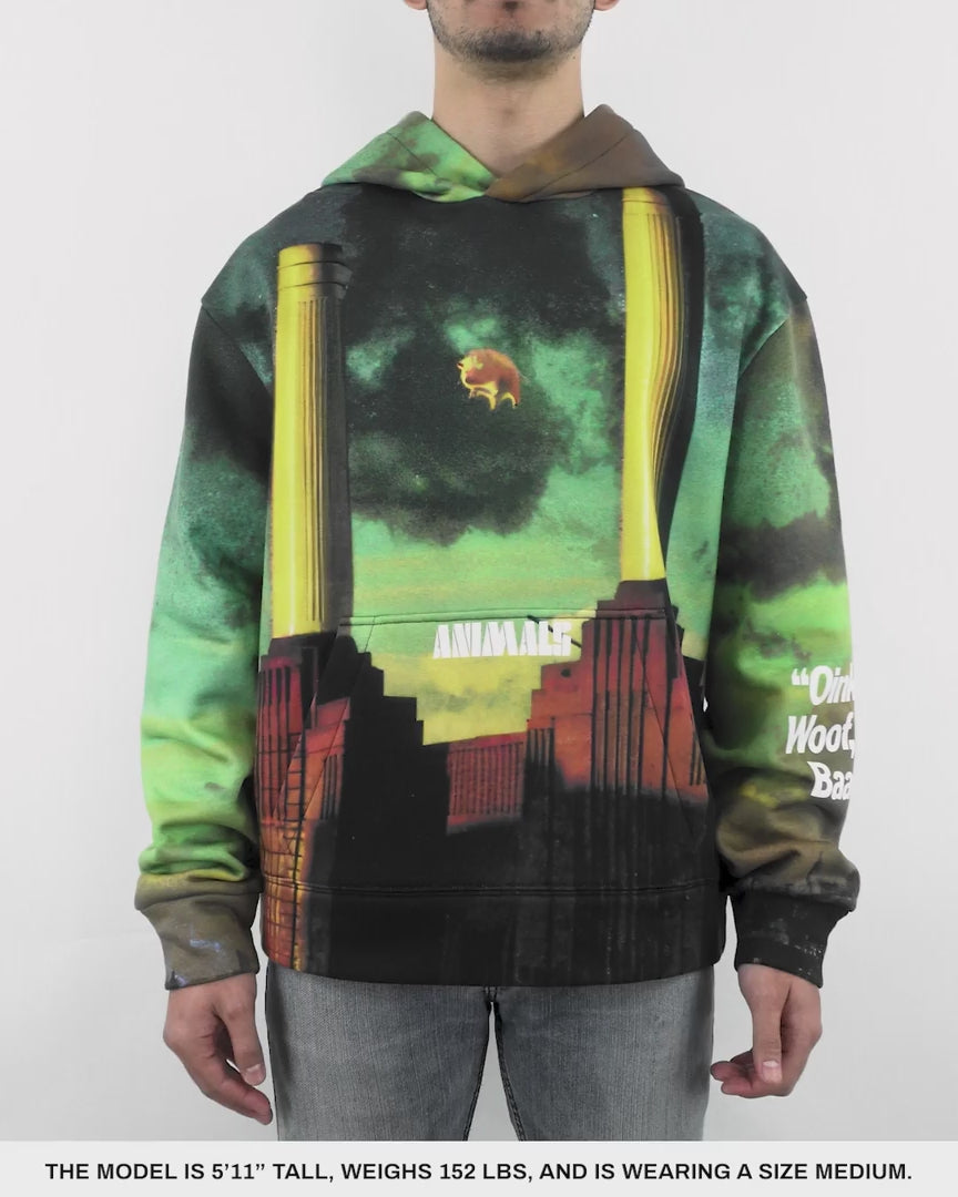 Load video: Animals Hoodie