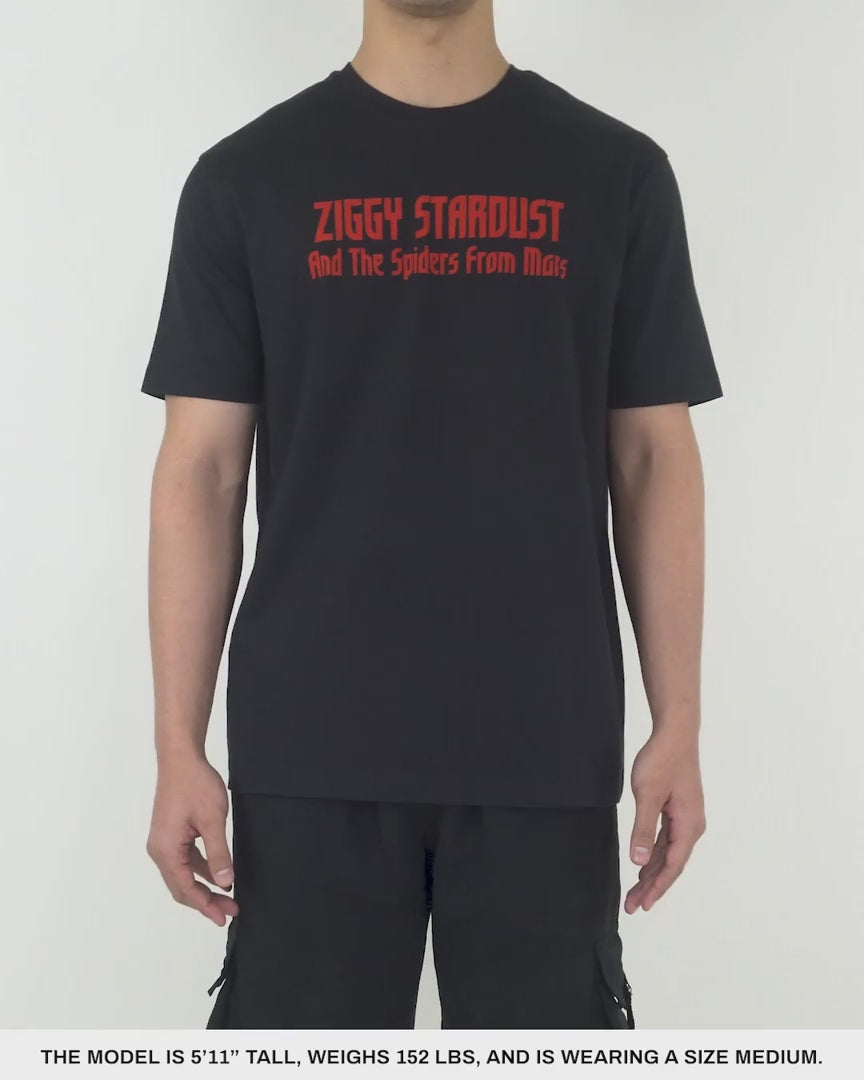 Load video: Window T-Shirt