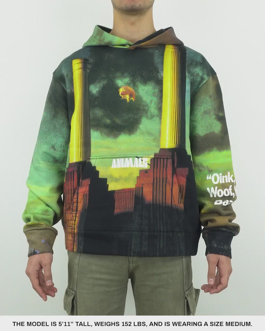 Load video: Animals Hoodie