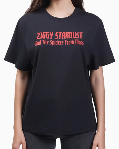 Window - 23point5 Shop