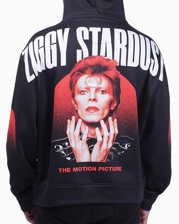 Ziggy Stardust - 23point5 Shop