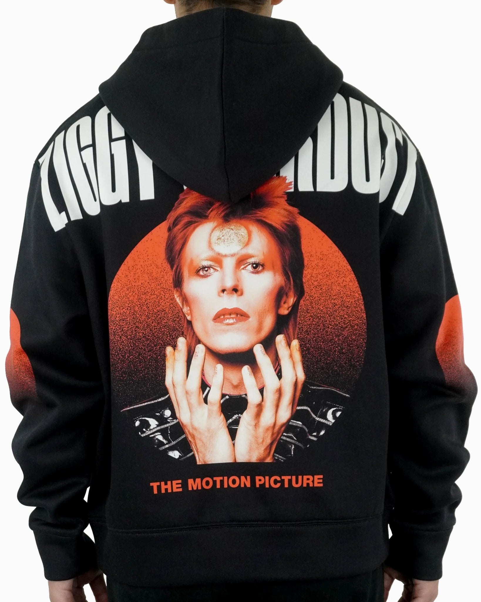 Ziggy Stardust Zip - 23point5 Shop