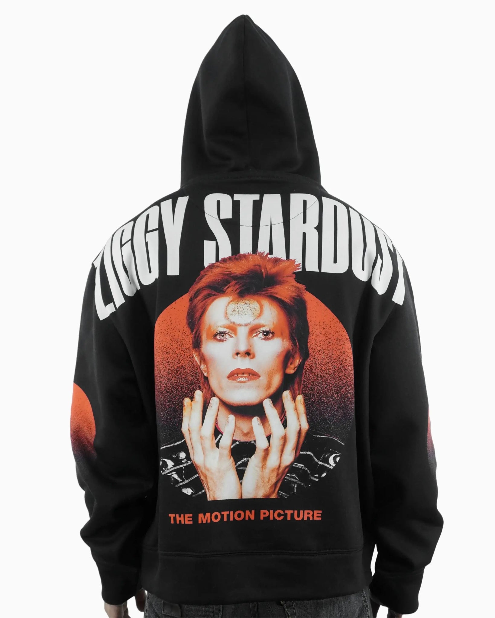 Ziggy Stardust Zip - 23point5 Shop